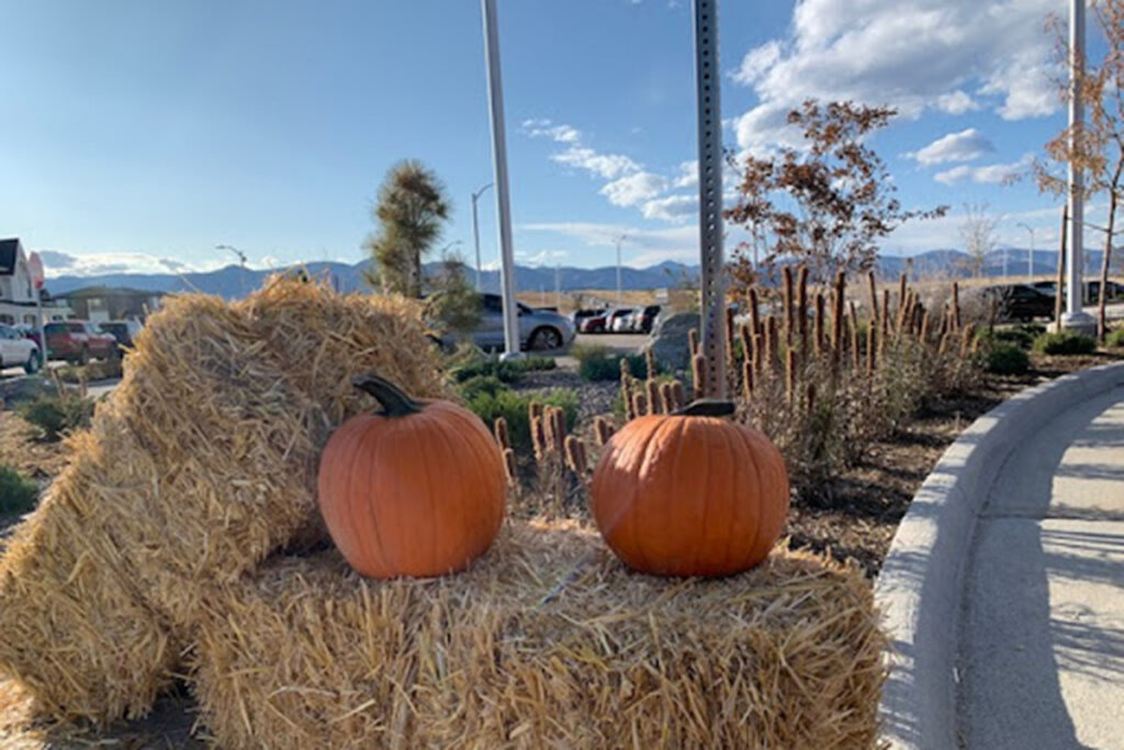Two pumpkins sit on straw bales beside a sidewalk in a landscaped area of Sterling Ranch CO, with cars, houses, and mountains visible in the background under a partly cloudy sky.