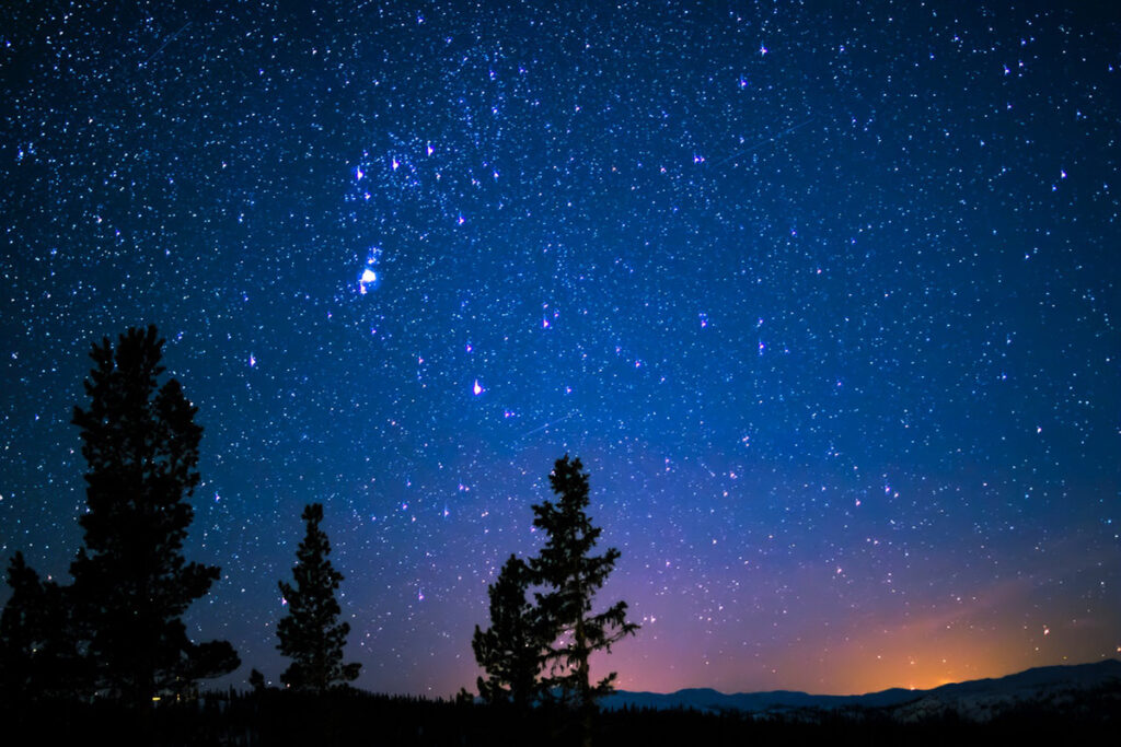 Silhouetted trees stand under a clear night sky filled with stars and the constellation Orion, with a faint orange glow on the horizon above Sterling Ranch Colorado in the Denver metro area.