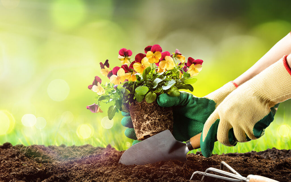 A person wearing gardening gloves uses a trowel to plant a small flowering plant in soil, surrounded by green grass and blurred nature in the background—capturing the serene spirit of gardening in Sterling Ranch, CO.