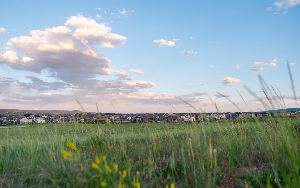 Wide view of Sterling Ranch Colorado suburban houses in the distance, seen across a grassy field under a blue sky with scattered clouds.