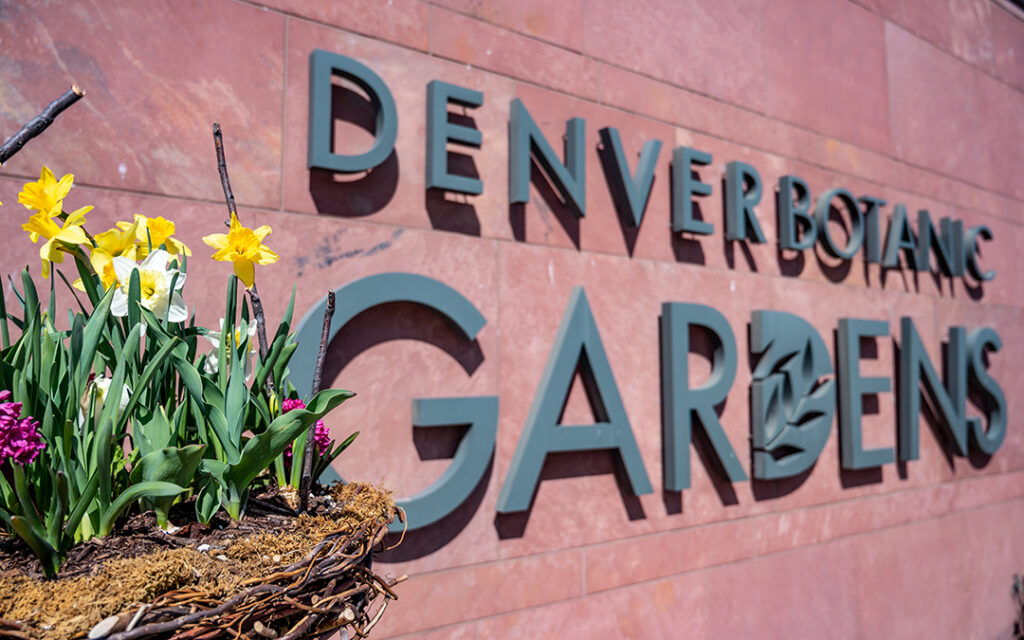 Denver Botanic Gardens sign on a red wall, with yellow and purple flowers in the foreground, reminiscent of the vibrant landscapes found southwest of Denver in communities like Sterling Ranch Colorado.